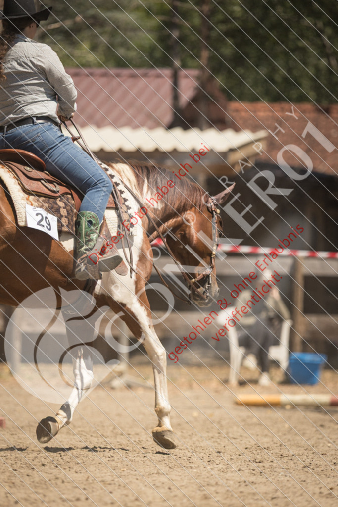 IMG_0005 | Sport-, Event- und Tierfotos in Profiqualität. Einfach auswählen, bestellen und herunterladen. Dein Moment – perfekt festgehalten.