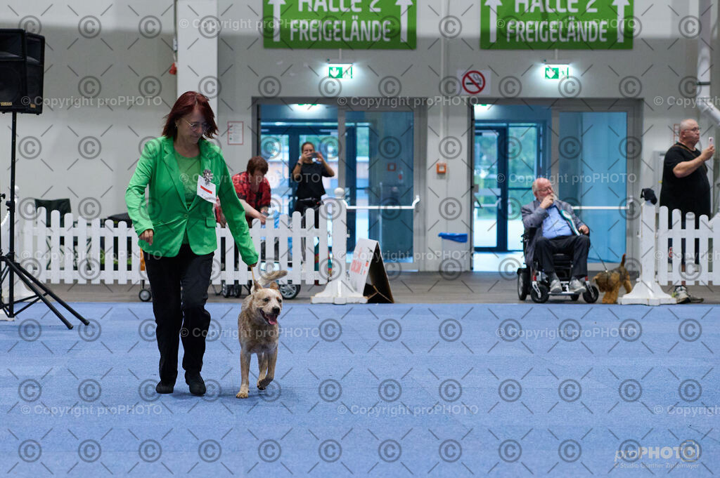 202406_ÖKV-IHA-Tulln24_DSC_3289 | proPHOTO - Realisiert mit Pictrs.com