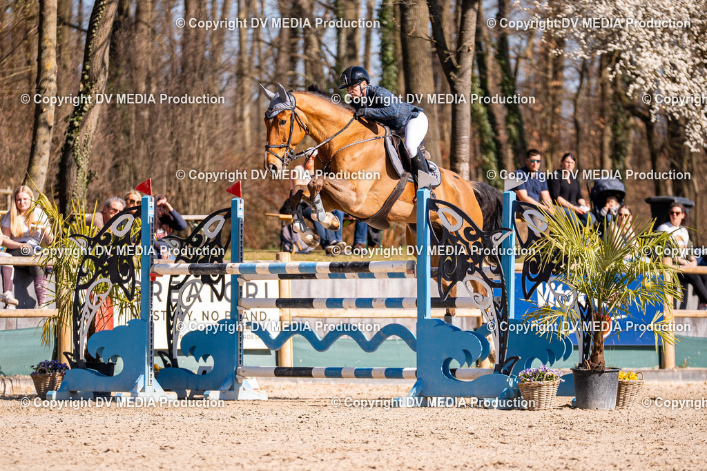 Kranichstein Tag 2-756 | dv-media-shop - Realisiert mit Pictrs.com