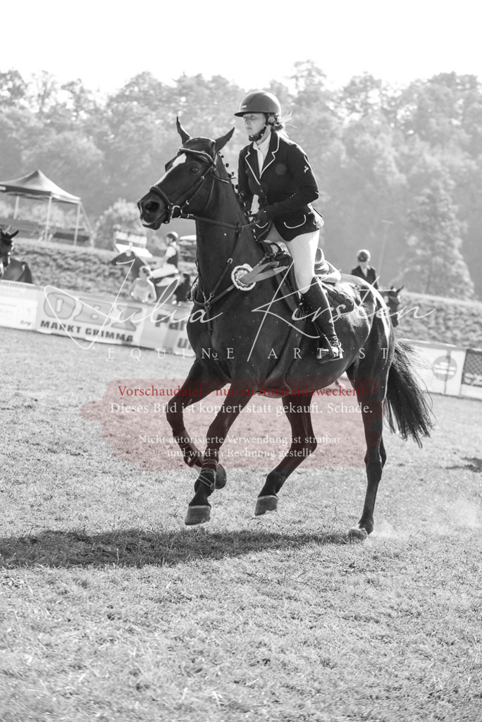 DSC_5502 | Pferde- und Turnierfotografie in Westsachsen. Pferdeportraits, Auftragszeichnungen und intuitive Kunst.