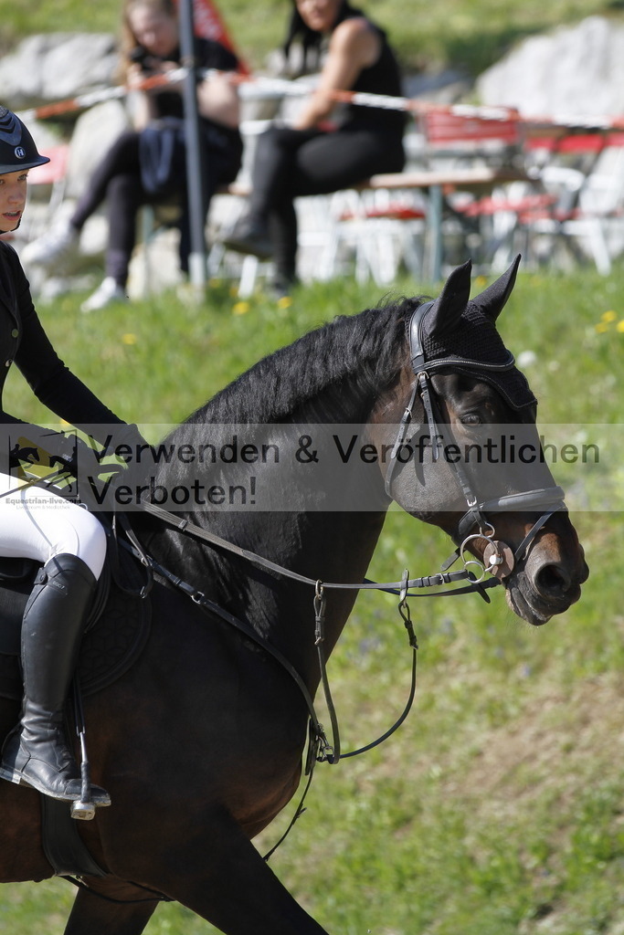 _MG_6831 | equestrian-live-com