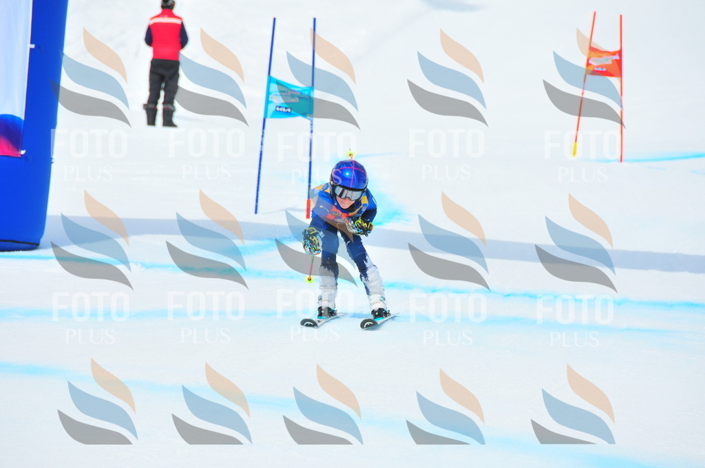 DSC_2228 | holidayphoto