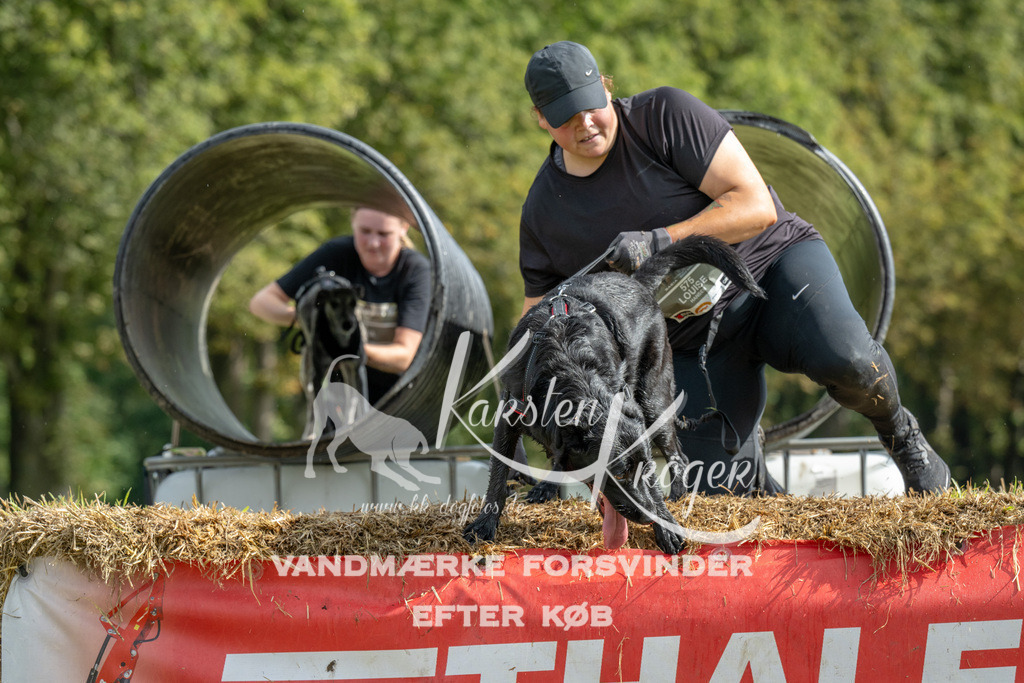 1121_ZZ93922 | kk-dogfotos