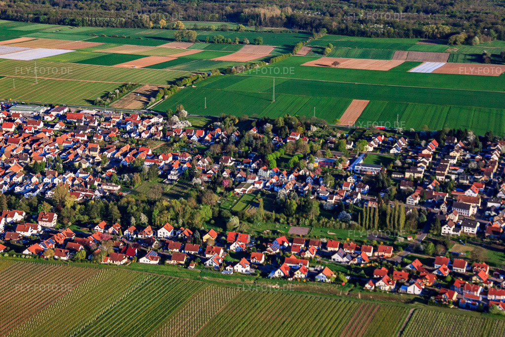 Luftbild: Ortsansicht aus Norden im Ortsteil Niederhochstadt in Hochstadt im Bundesland Rheinland-Pfalz in Deutschland. Foto: IMG_56743.jpg vom 25.04.2013 durch Werner Riehm/FLY-FOTO.deAuflösung des Originals: 4752 x 3168 px