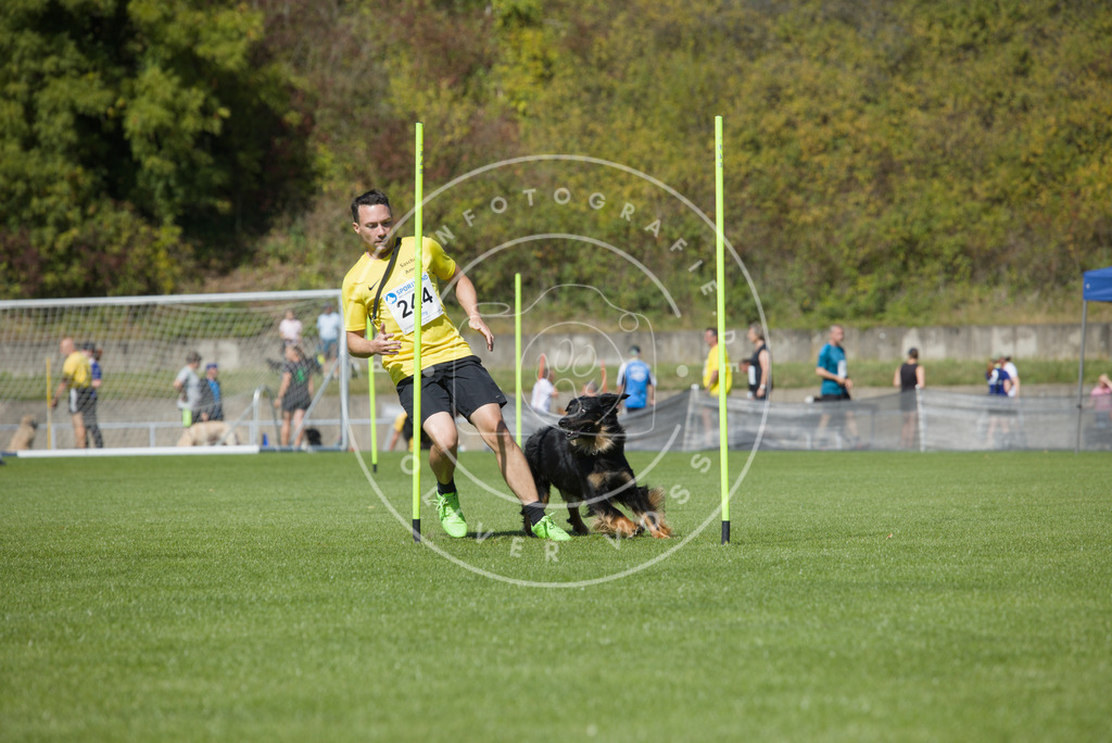 0L8A6194 | Hundefotografie, Tierfotograf, Pfotenfotografie, Fotoshooting Hund, Hunde Portrait, Hundesport, Hundeportraits, Heideshooting, Hunde, Sportfotograf, Hundefotograf, Turnierhundsport, THS,  - Realisiert mit Pictrs.com