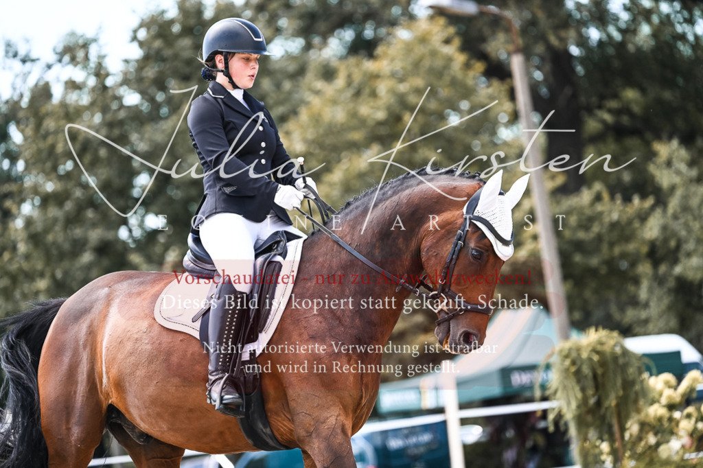 DSC_5635 | Pferde- und Turnierfotografie in Westsachsen. Pferdeportraits, Auftragszeichnungen und intuitive Kunst.