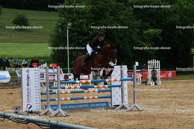 OHT0441 | Fotografie, Tiere, Hunde, Katzen, Pferde, Sportfotografie, Fotosession, Tierfotografie, Turnierfotografie, Fotografin, Fotograf - Realisiert mit Pictrs.com