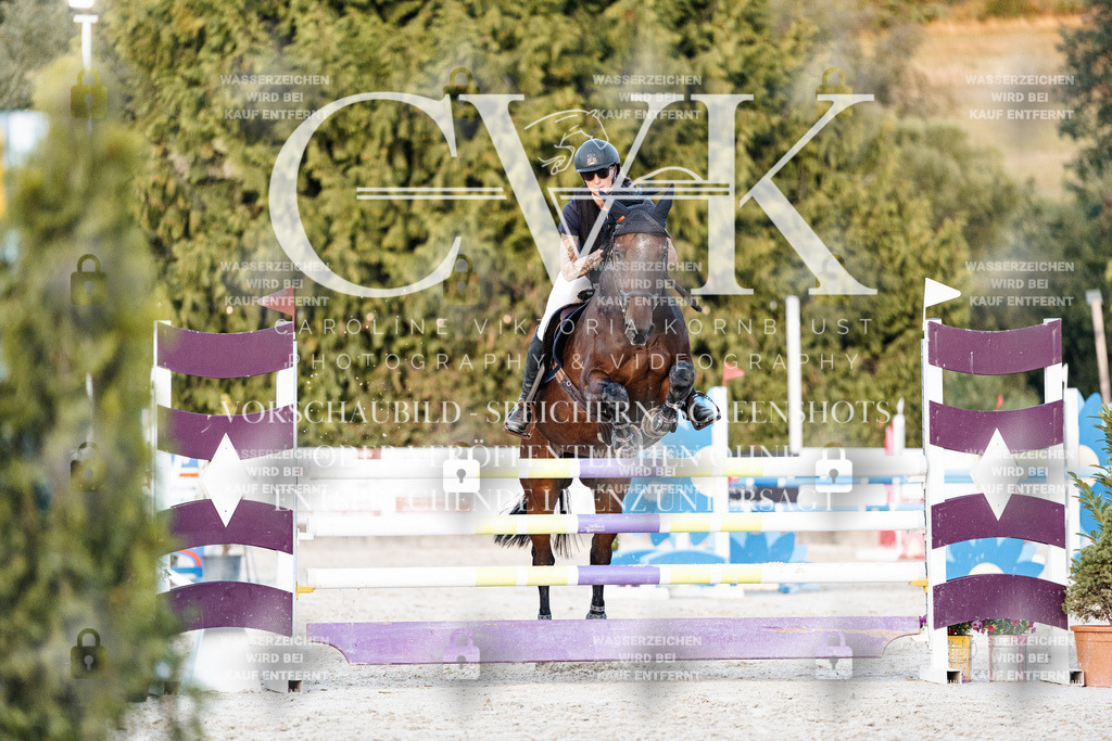 CK901350 | Turnierfotografie Pferdefotografie Trier Rheinland-Pfalz Pferdesport Reitsport Tierfotografie Sportfotografie Pferdevideo Pferdevideografie Equestrianvideography equestrianphotography  - Realisiert mit Pictrs.com
