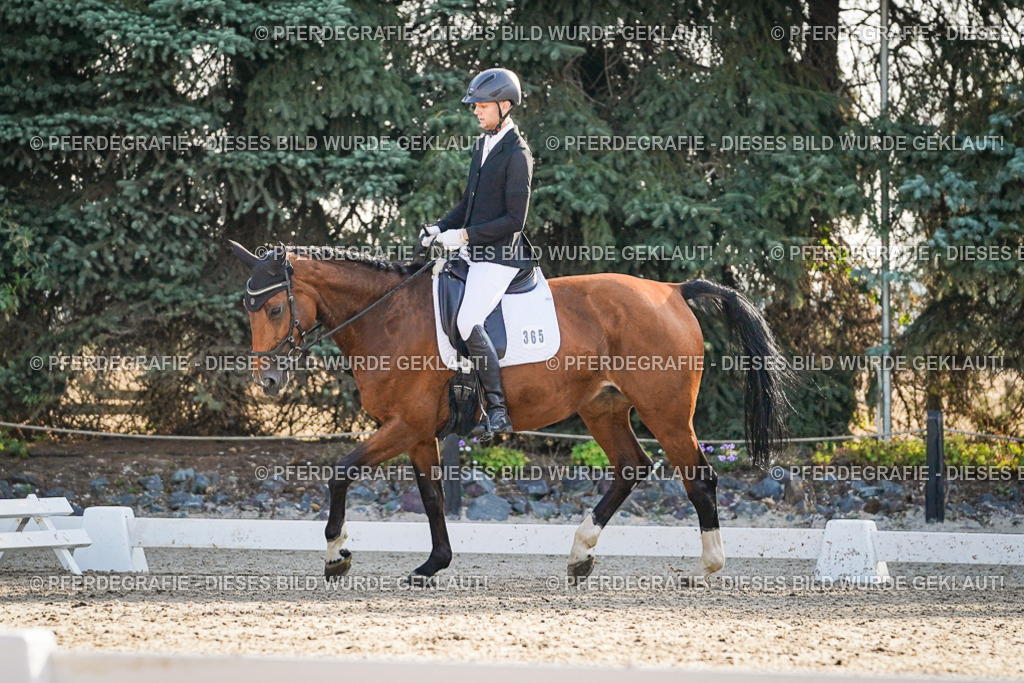 DSC08343 | Pferdegrafie