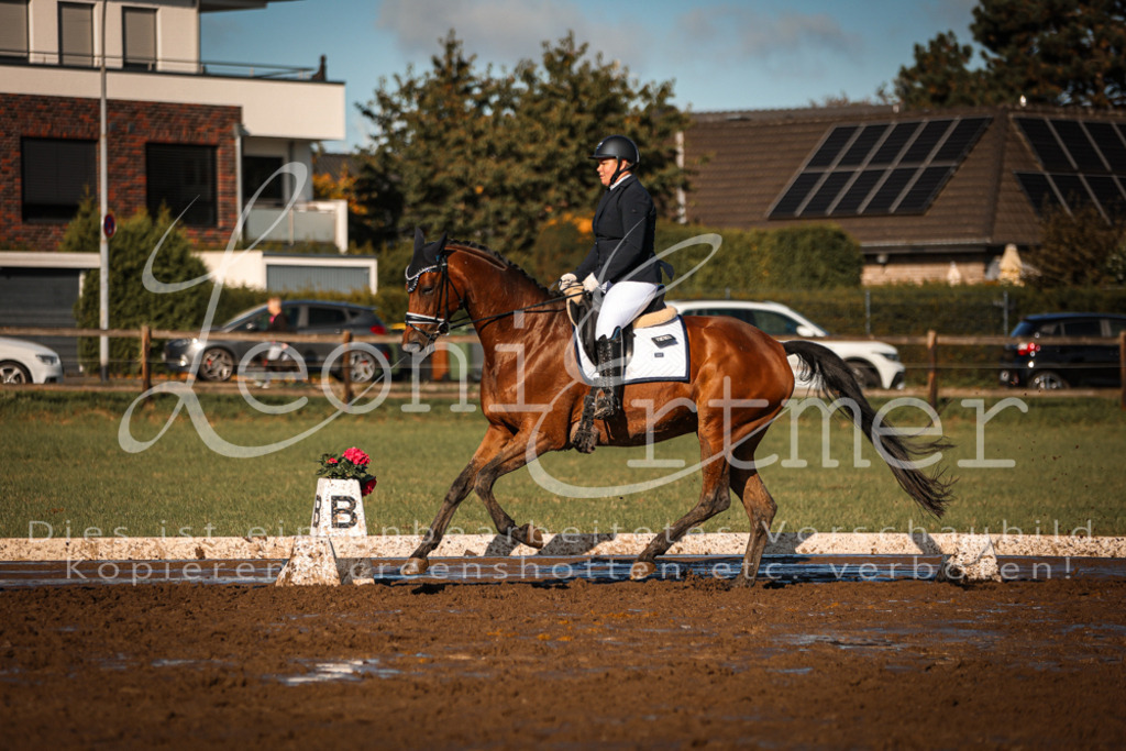 13.SoDrA100331 | Leoni Ertmer Photography - Realisiert mit Pictrs.com