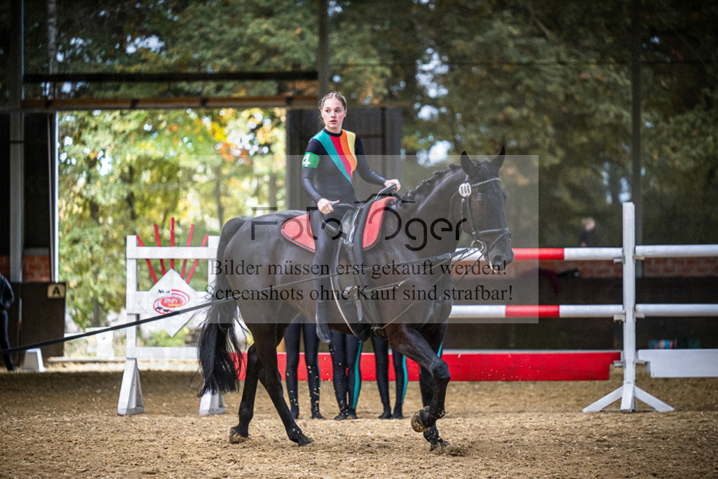 DOS_0119 | Entdecke hochwertige Reitturnierfotos von Foto Oger. Professionell, emotional und authentisch – jetzt Lieblingsmomente im Shop bestellen.Deutschlandweite Turnierfotografie. - Realisiert mit Pictrs.com