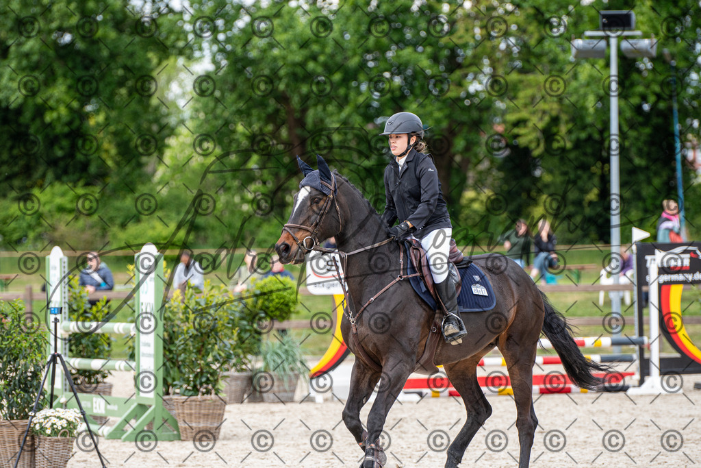 KPT_6469 | andre_photographic