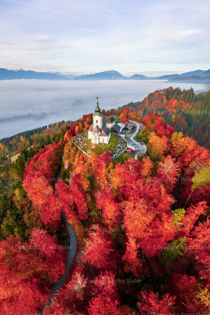 Sternberg_Herbst-396 | piet_flosse