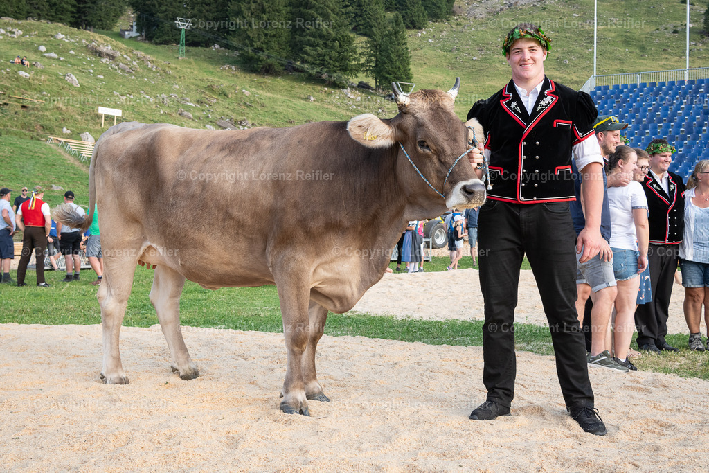 Schwingen -  Schwägalpschwinget 2023 | Schwägalp, 20.8.23, Schwingen - Schwägalpschwinget.