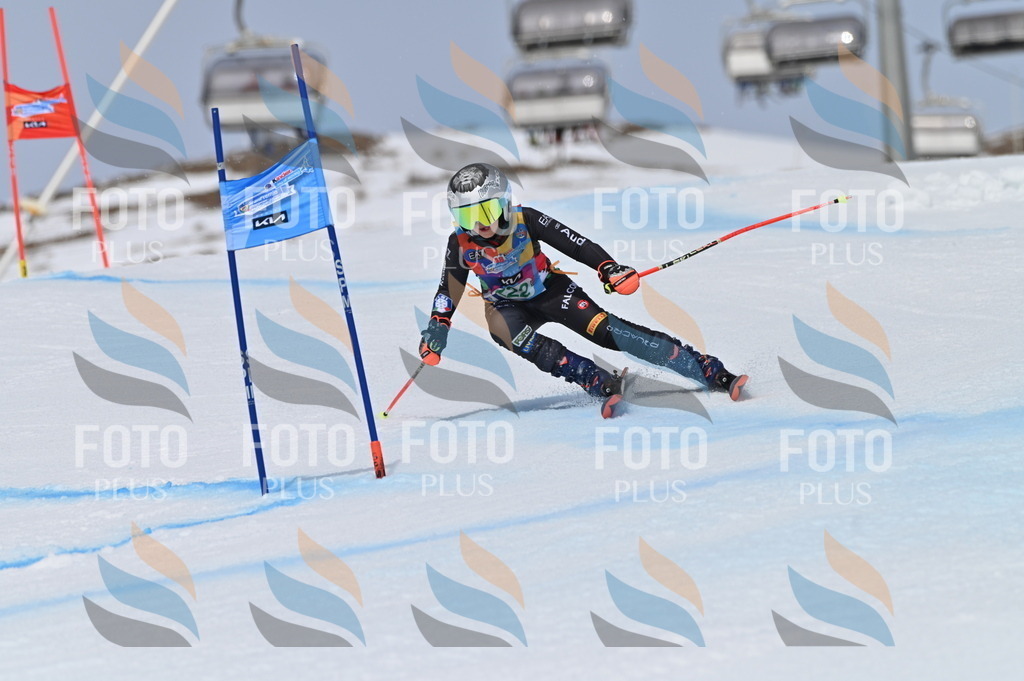 BGV_4353 | holidayphoto