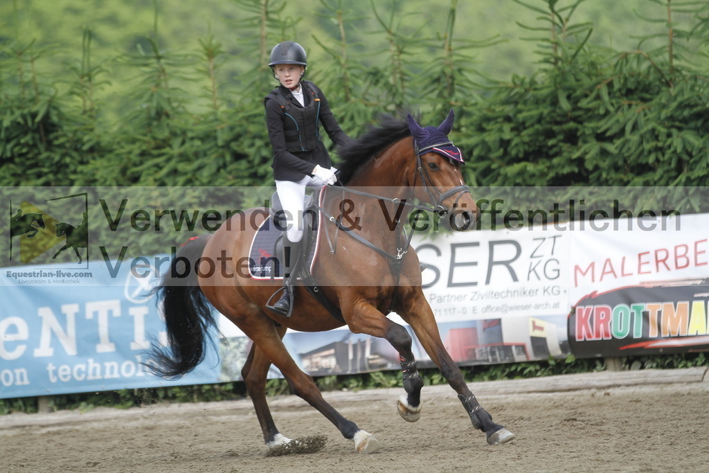 _MG_4476 | equestrian-live-com