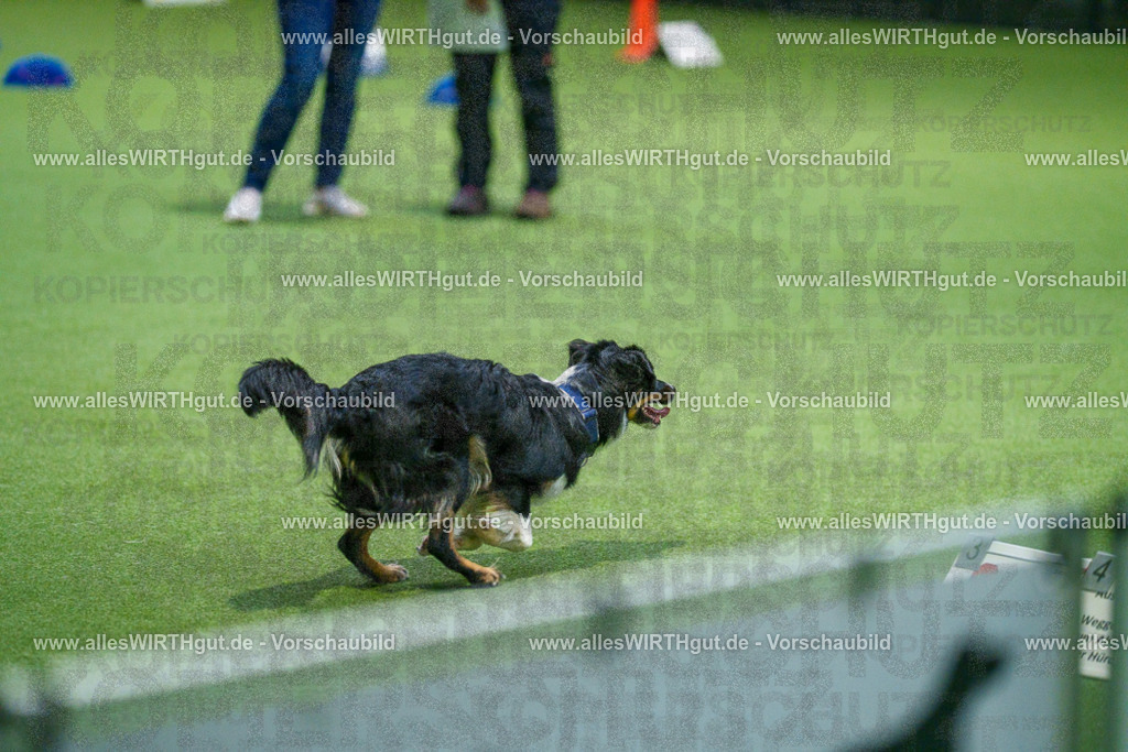 7R505375 | Professionelle Tierfotografie in Mönchengladbach von Daniel Wirth (allesWIRTHgut). Liebevolle & natürliche Bilder von Hunden & Katzen für unvergessliche Erinnerungen.