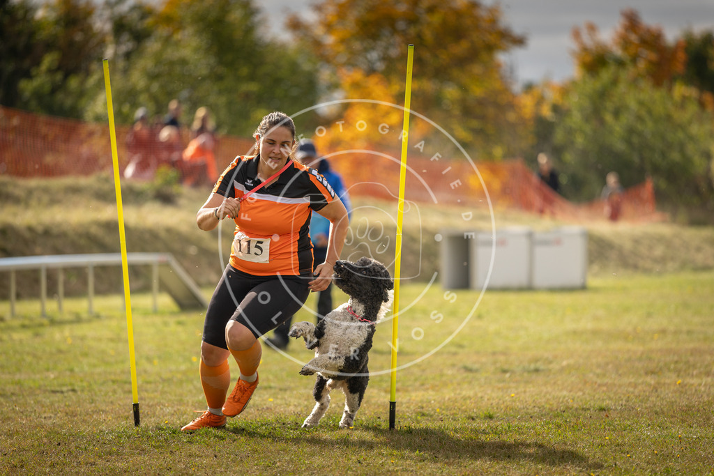 Pfotenfotografie_DV3A7041 | Hundefotografie, Tierfotograf, Pfotenfotografie, Fotoshooting Hund, Hunde Portrait, Hundesport, Hundeportraits, Heideshooting, Hunde, Sportfotograf, Hundefotograf, Turnierhundsport, THS,  - Realisiert mit Pictrs.com