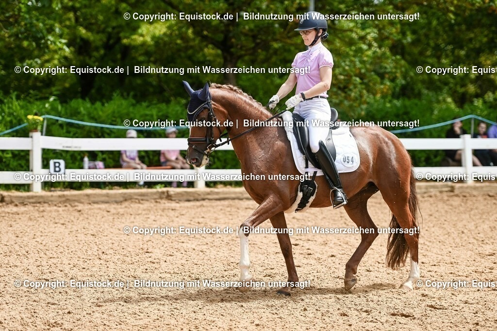 20230716_03_Dressurprfg. Kl.L - Tr._0240 | equistock