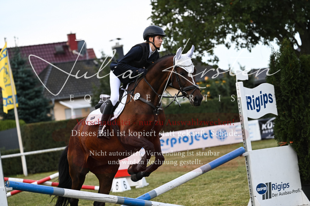 DSC_5638-2 | Pferde- und Turnierfotografie in Westsachsen. Pferdeportraits, Auftragszeichnungen und intuitive Kunst.