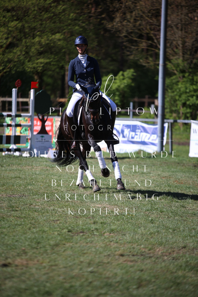 IMGT0628 | pl-fotografie