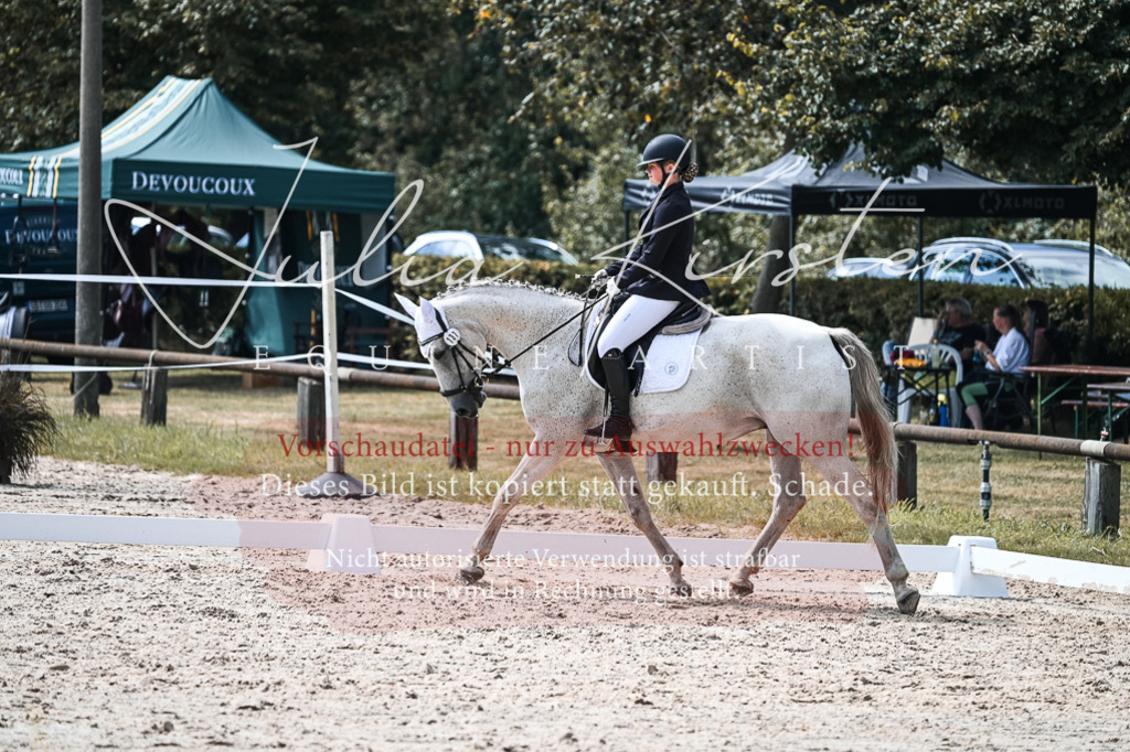 DSC_5291 | Pferde- und Turnierfotografie in Westsachsen. Pferdeportraits, Auftragszeichnungen und intuitive Kunst.
