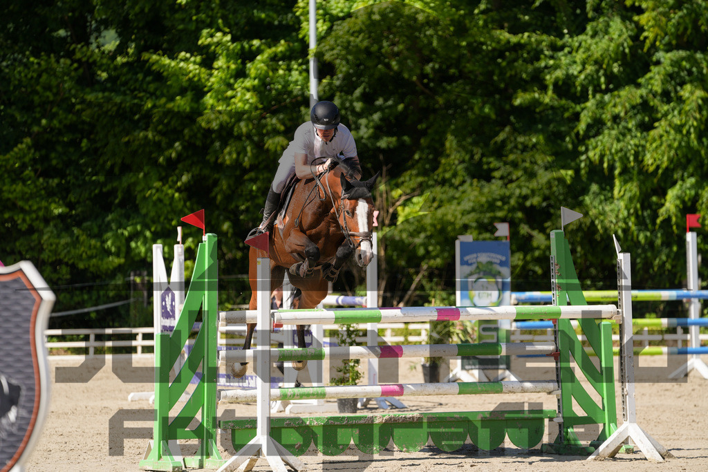 DSC02391 | Julian Held Fotografie - Realisiert mit Pictrs.com