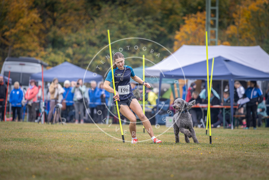 Pfotenfotografie_DV3A1046 | Hundefotografie, Tierfotograf, Pfotenfotografie, Fotoshooting Hund, Hunde Portrait, Hundesport, Hundeportraits, Heideshooting, Hunde, Sportfotograf, Hundefotograf, Turnierhundsport, THS,  - Realisiert mit Pictrs.com