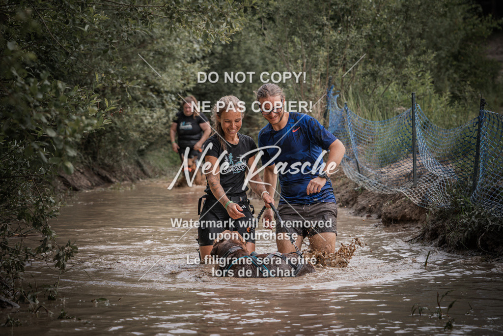 nelerasche_Hoope2026_So1130-1200_193 | nelerasche