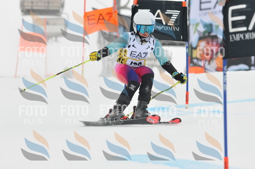 DSC_8291 | holidayphoto