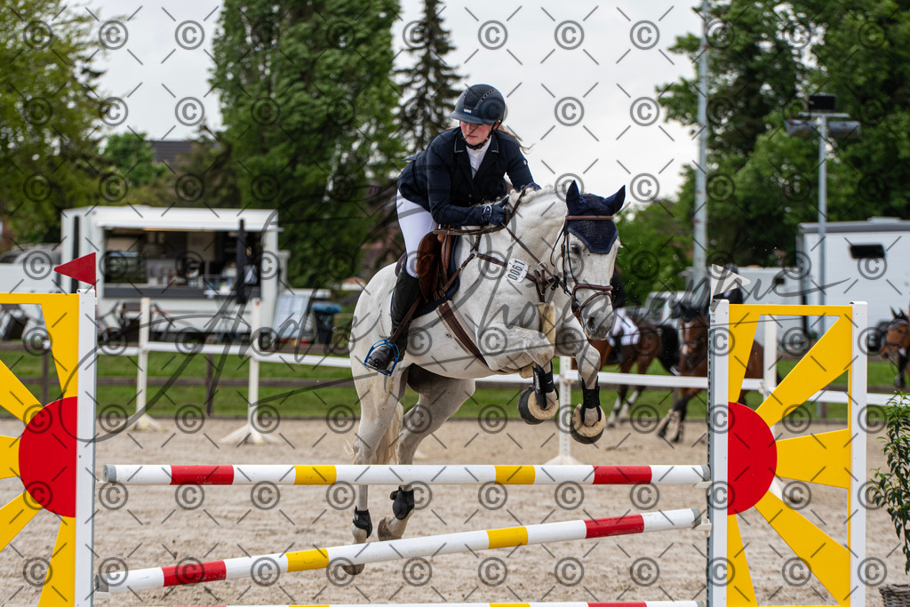 KPT_7667 | andre_photographic