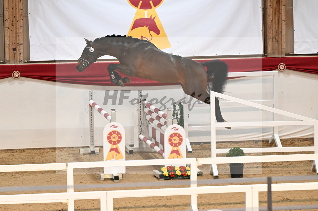 Kat.-Nr. 20 v. Dominatorre_Kohn_3261681 | hf-fotografie - Realizzato con Pictrs.com