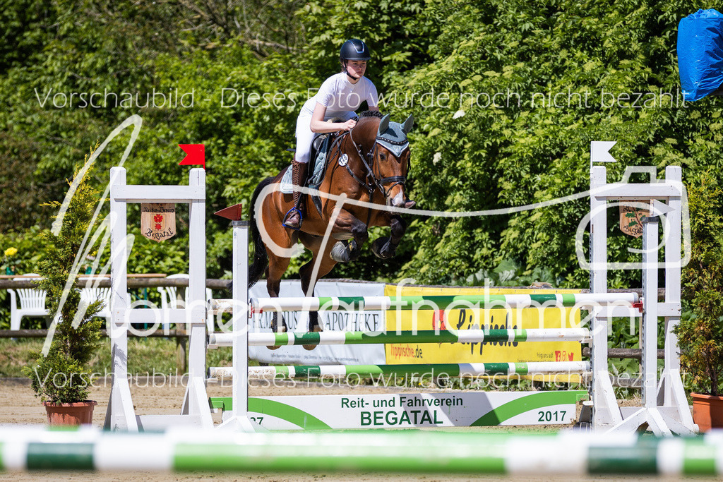 Donop24-Stil-L-018 | MomenTaufnahmen Pferdesportfotos