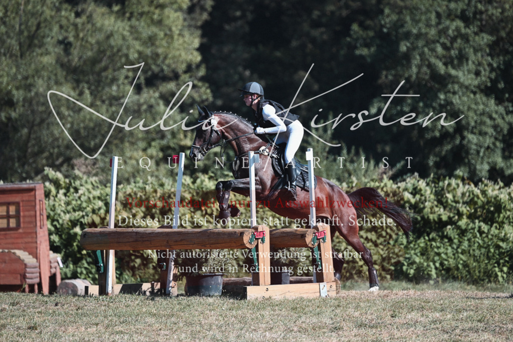 DSC_8786 | Pferde- und Turnierfotografie in Westsachsen. Pferdeportraits, Auftragszeichnungen und intuitive Kunst.