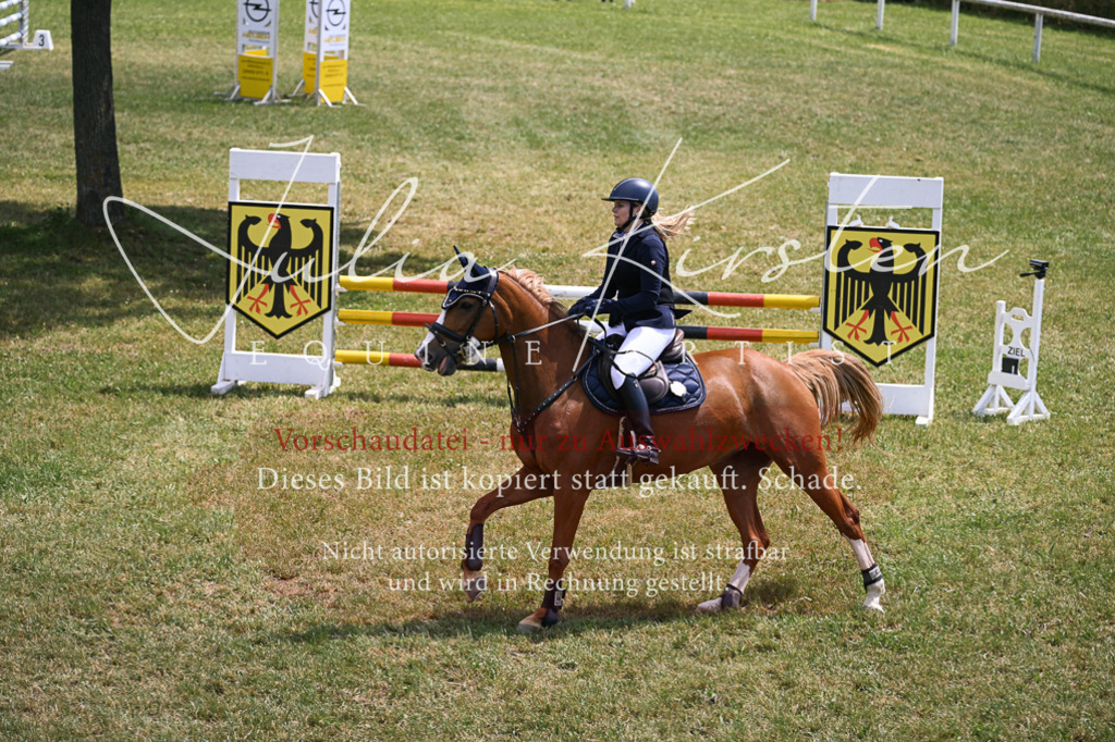 DSC_9849 | Pferde- und Turnierfotografie in Westsachsen. Pferdeportraits, Auftragszeichnungen und intuitive Kunst.