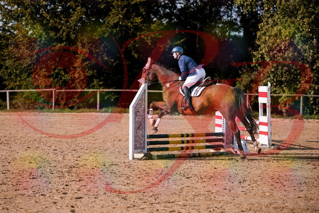 2026_10_03_Siefer-Hof_160614_Z81_87542820 | Professionelle Reitsport-, Turnier- und Eventfotografie von Robert Broda. Galerien mit ausgewählten und bearbeiteten Bildern direkt online ansehen und bestellen.