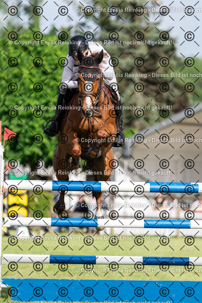 CL5A0313 | Emilia Reinking Fotografie - Realisiert mit Pictrs.com