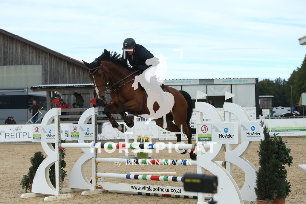 DL2Q7397 | Willkommen bei Brunnmayr - Design & Fotografie – Ihrem Spezialisten für Reitturniere und Pferdeveranstaltungen in Oberösterreich, Salzburg und Bayern! Seit über 17 Jahren sind wir leidenschaftlich dabei.
