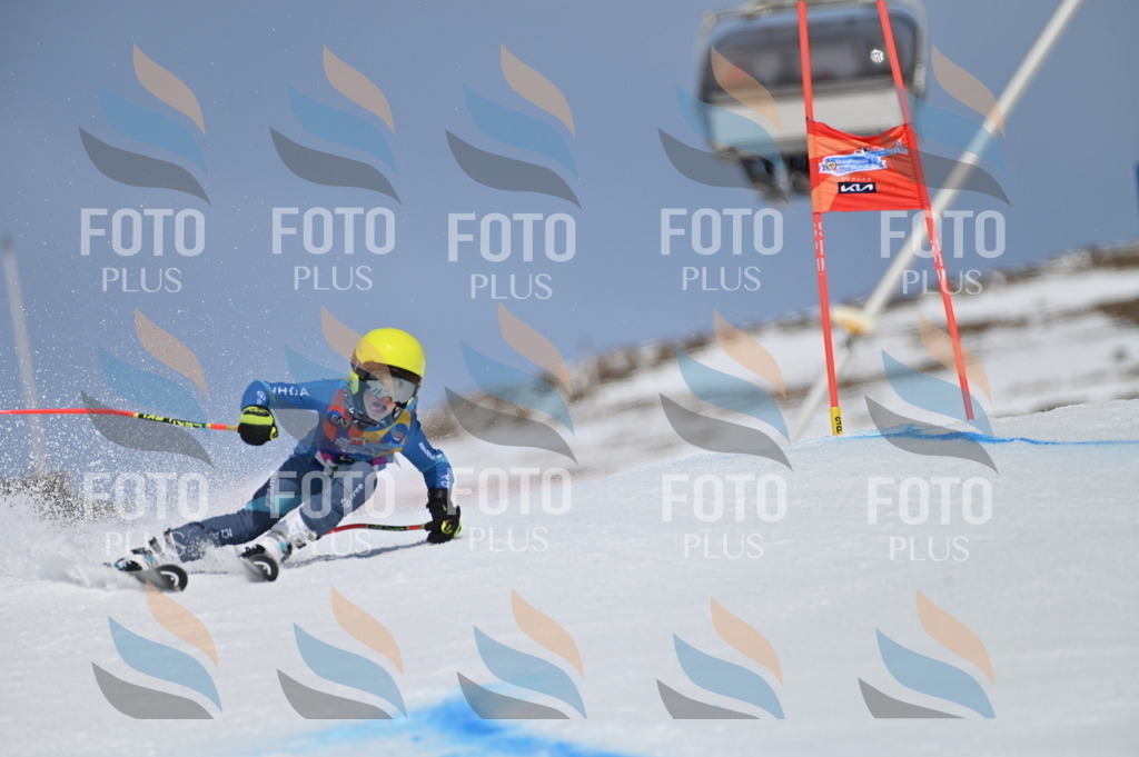 BGV_3580 | holidayphoto