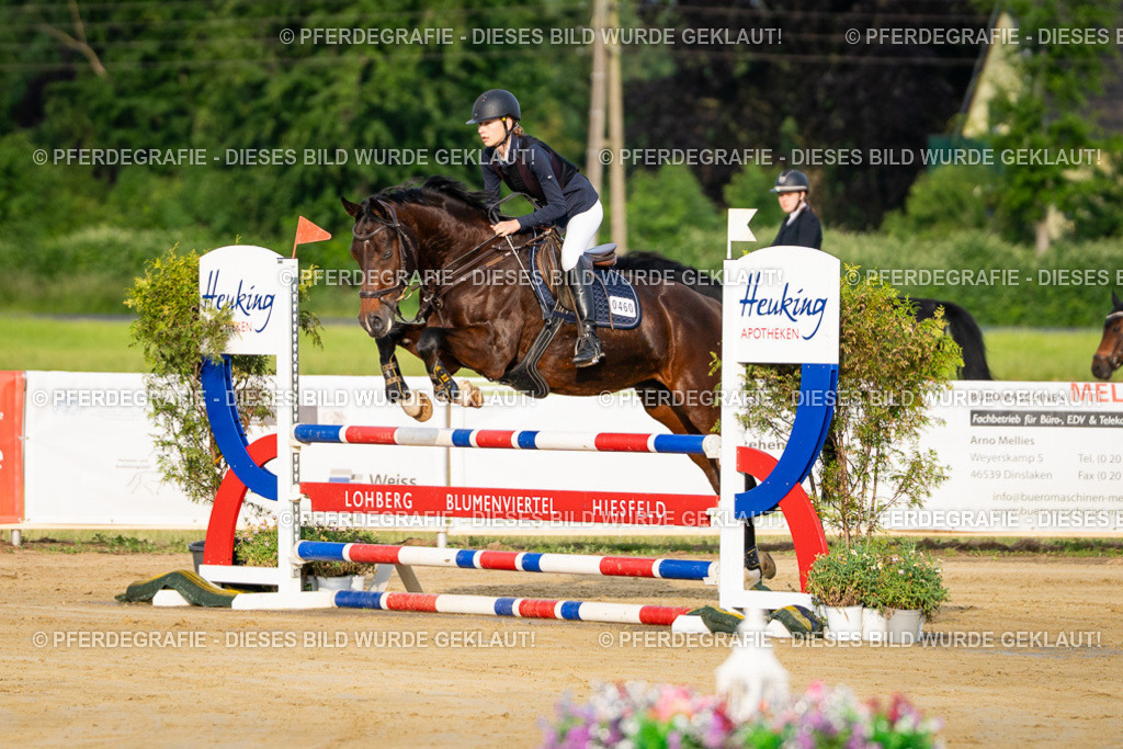 DSC01875 | Pferdegrafie