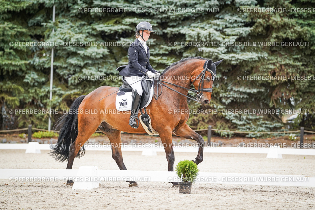 DSC08192 | Pferdegrafie