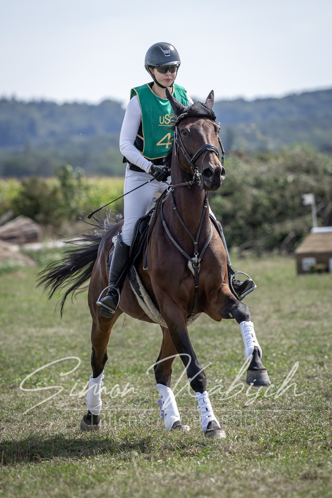 20250907-_3LI0746 | Tierfotografie Pferde, Hunde, Katzen, Haustiere.
Turnierfotografie Reitturniere, Reiten, Springreiten, Dressur in Hanau, dem Main-Kinzig-Kreis und dem Rhein-Main- Gebiet um Frankfurt