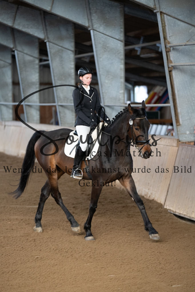 A7V05129 | Pferdefotograf