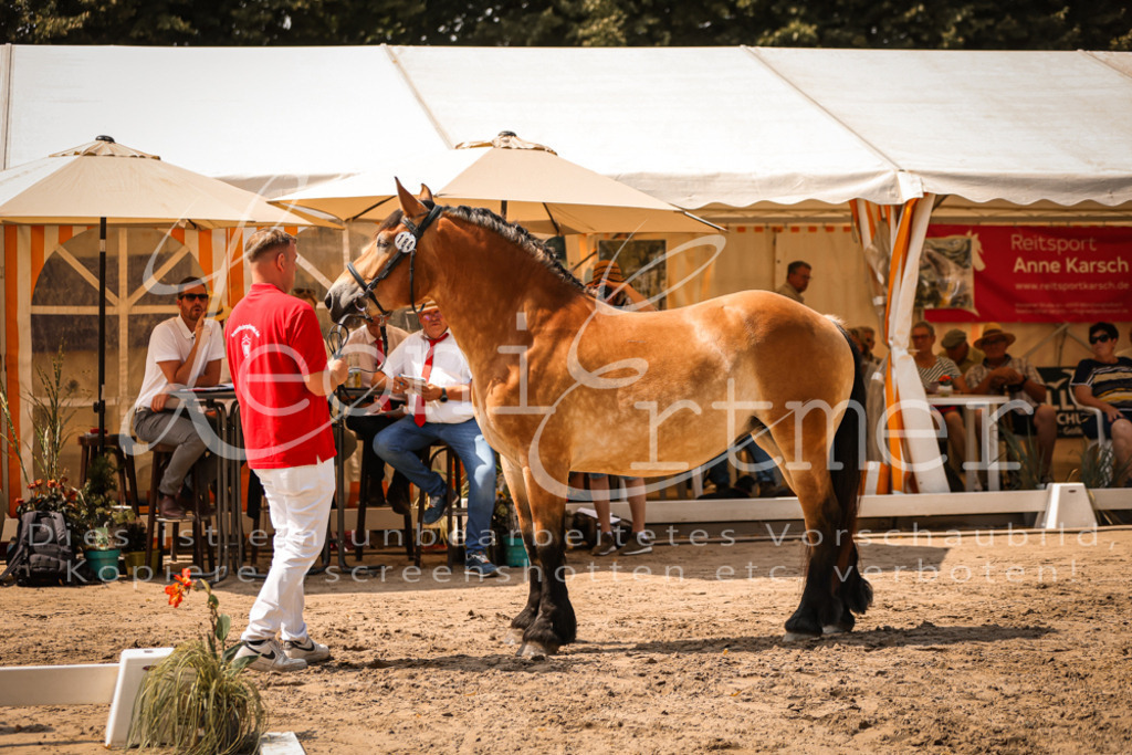 2.Sa00028 | Leoni Ertmer Photography - Realisiert mit Pictrs.com