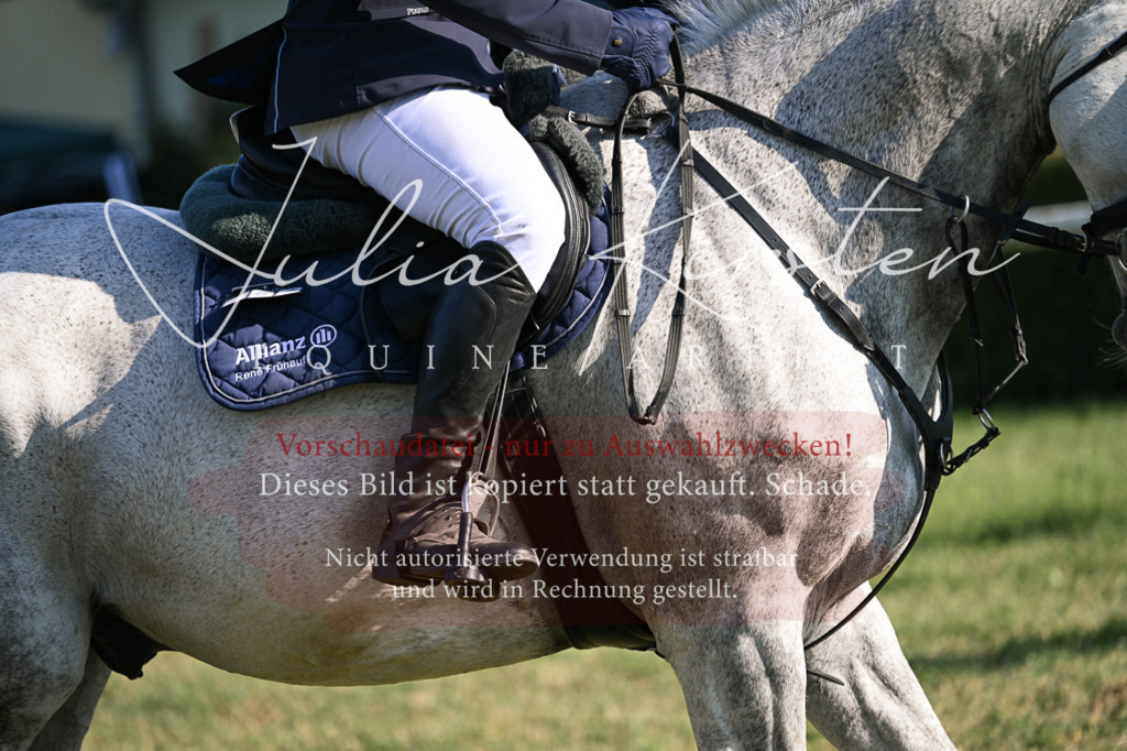 DSC_1711 | Pferde- und Turnierfotografie in Westsachsen. Pferdeportraits, Auftragszeichnungen und intuitive Kunst.