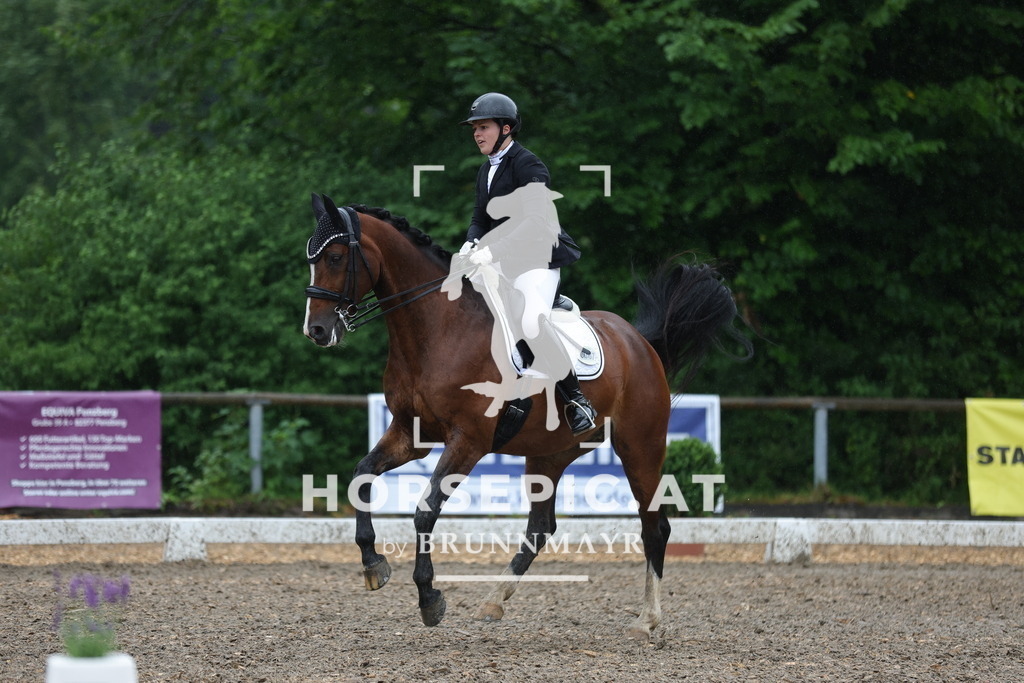 0P6A9148 | Willkommen bei Brunnmayr - Design & Fotografie – Ihrem Spezialisten für Reitturniere und Pferdeveranstaltungen in Oberösterreich, Salzburg und Bayern! Seit über 17 Jahren sind wir leidenschaftlich dabei.