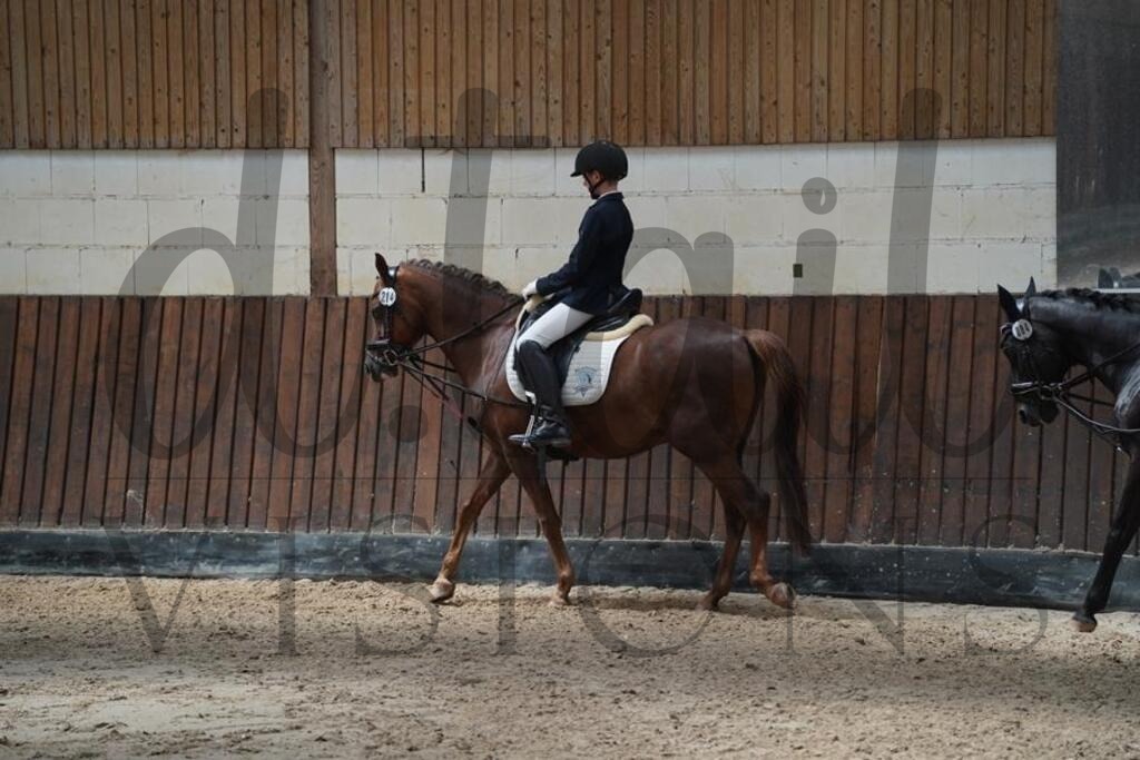 beckingen (532) | d.tail Visions - Shop - Realisiert mit Pictrs.com