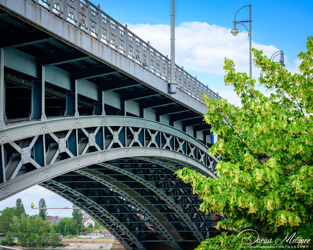 Die Theodor-Heuss-Brücke in Mainz | Die Theodor-Heuss-Brücke in Mainz