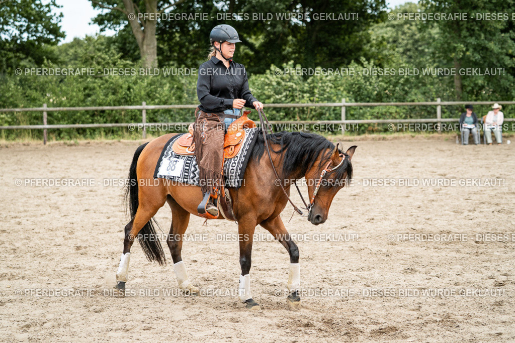 DSC02044 | Pferdegrafie