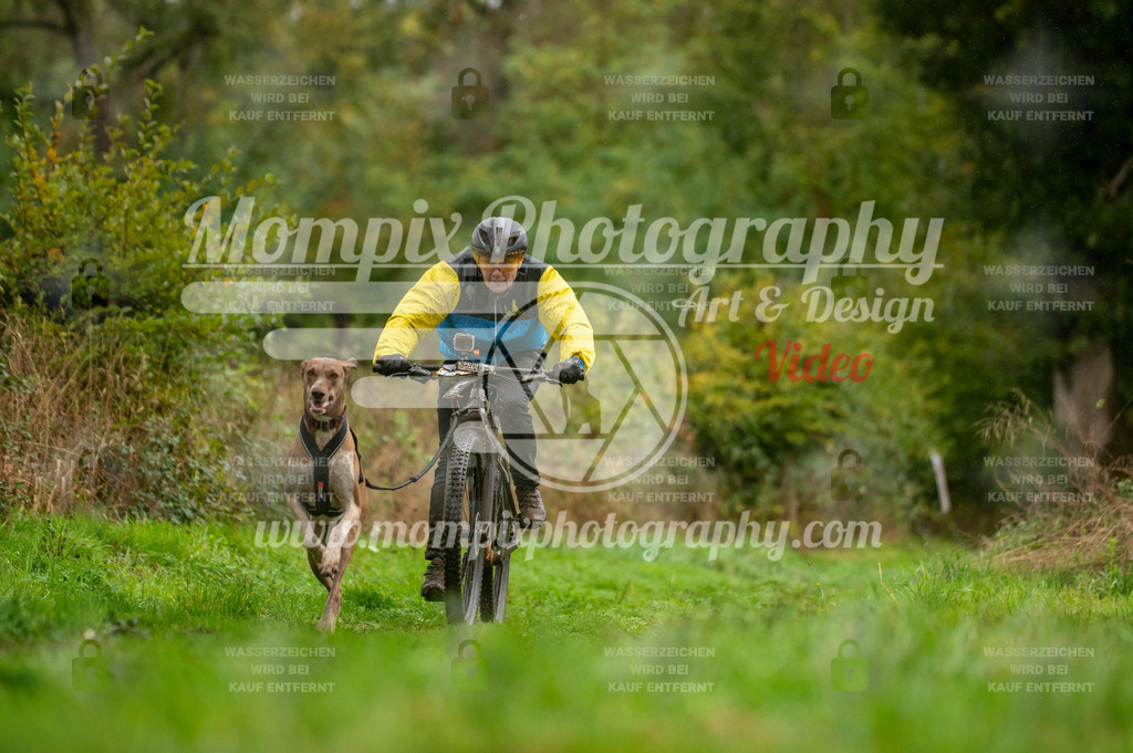 TSB_2023_E6_Bike-38 | PayLife